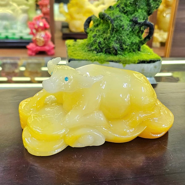 Tượng Trâu Nằm Trên Tiền 